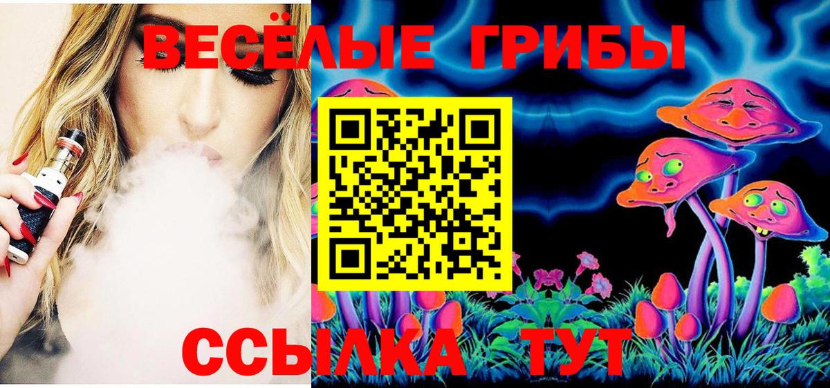 Псилоцибиновые грибы Cubensis Пугачёв