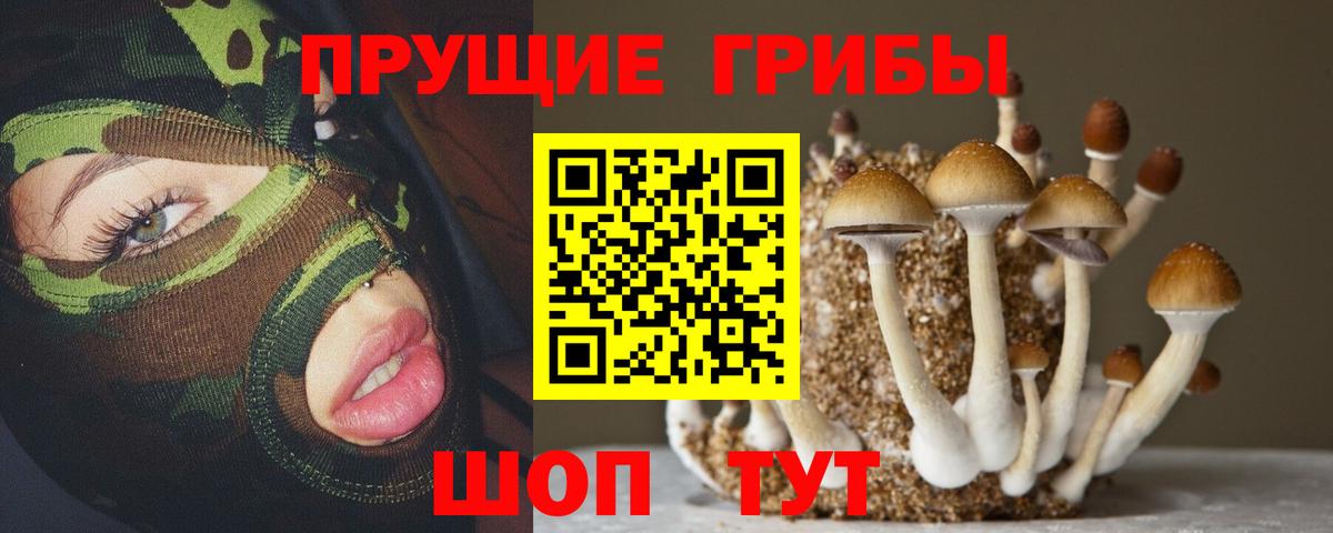 Купить  Бошки Шишки  ГЕРОИН  Мефедрон   Гашиш  Пугачёв  КОКАИН  Альфа ПВП СК кристаллы  Вход с VPN 
